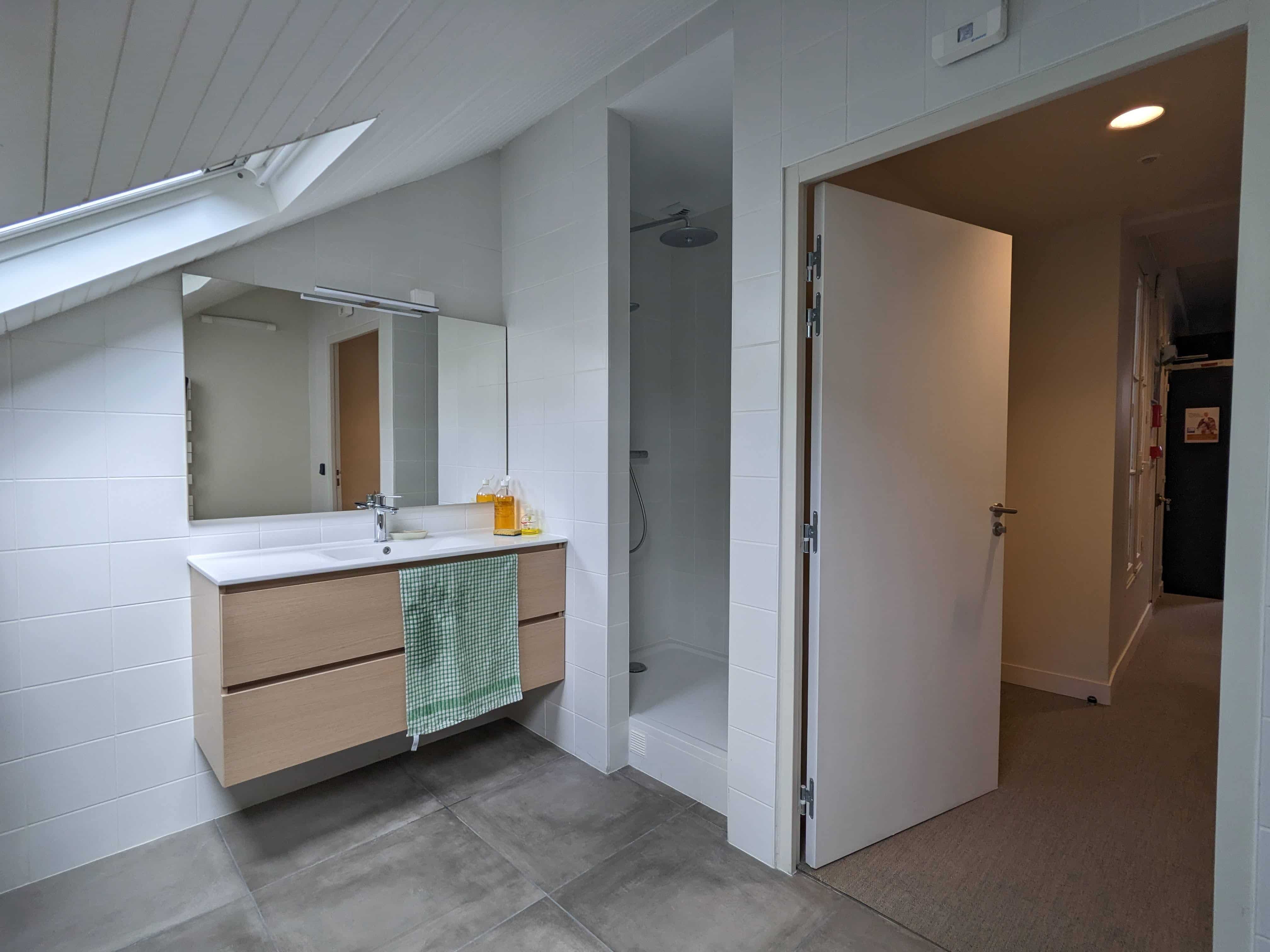 Rénovation de bureaux : création d'une salle de bains sous les combles (lavabo, miroir, douche)
